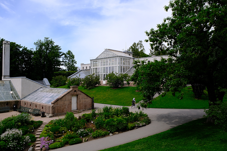 Path close to a green house