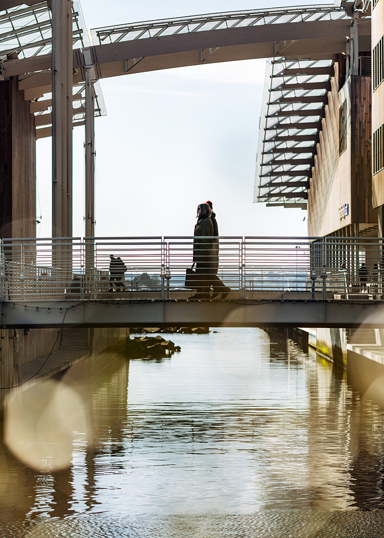 Bridge next to the museum