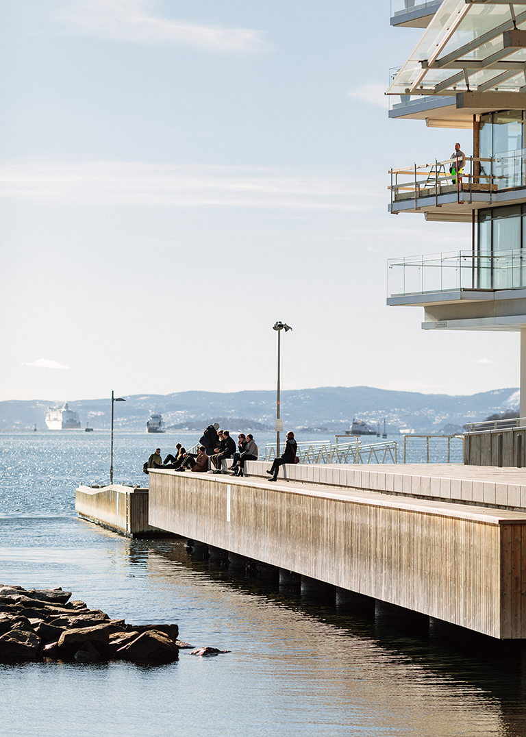 People looking at the fjord
